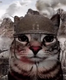 1000 Paw stare white custom crosshair