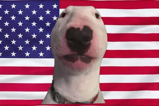 American Walter Crosshair