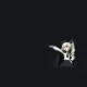 anchovy crosshair