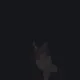 BEST CROSSHAIR