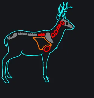 Blacktail Deer (Typical) [M] Колумбийский олень (типичный) custom crosshair