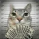 blawg money spread white custom crosshair
