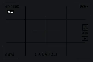 [Camera]1080P RAW white custom crosshair
