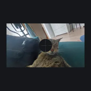 Cat custom crosshair