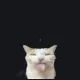Cat white custom crosshair