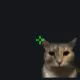 cat meme orange custom crosshair