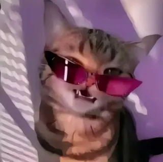 cat with glasses custom crosshair