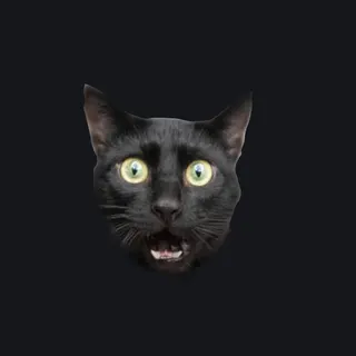 catwoah white custom crosshair