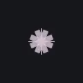Cherry Blossom white custom crosshair