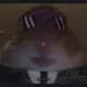 CHILL HAMSTER red custom crosshair
