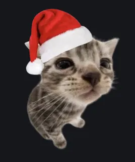 Christmas Cat custom crosshair