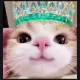 cute cat custom crosshair