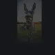 Donkey custom crosshair