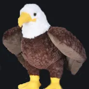 fågel falcon custom crosshair