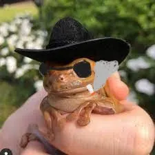frog smoking custom crosshair