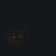 furry orange custom crosshair