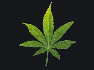 GANGA green custom crosshair