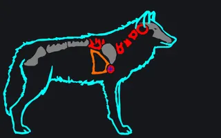 Grey Wolf [M|F] Волк custom crosshair