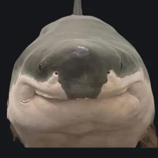 Happy Shark Crosshair