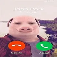 John Pork custom crosshair