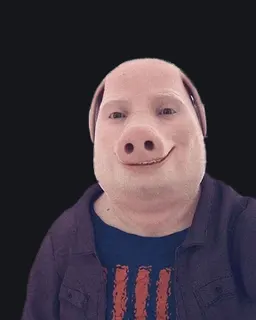john pork custom crosshair
