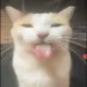 Kitty white custom crosshair