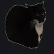 Maxwell(dingus) Spin black custom crosshair