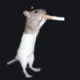 mous white custom crosshair