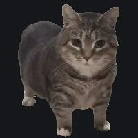 Oiia Oiiaoiia animated custom crosshair