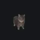 OIIAIO cat custom crosshair