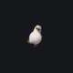 Private penguin white custom crosshair