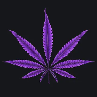 purp purple custom crosshair