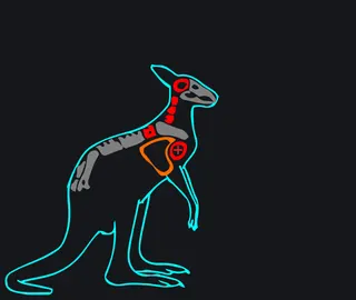 Red Kangaroo [M|F] Рыжий кенгуру custom crosshair