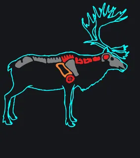 Reindeer [M] Северный олень custom crosshair
