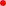 rgb dot red animated custom crosshair