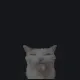 sillycat custom crosshair