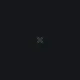 STAYOUT custom crosshair