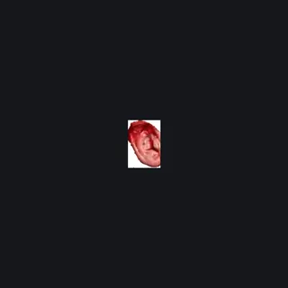 Trump ear 2 red custom crosshair