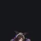 Vampire Rice Shower custom crosshair