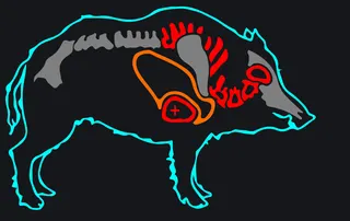 Wild Boar [M|F] Вепрь custom crosshair