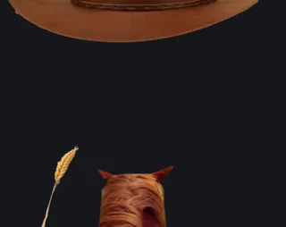 wild west meme orange custom crosshair