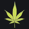 Yellow Herb yellow custom crosshair