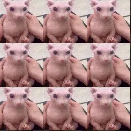 Bingus mouse cursor