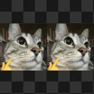 Cat mouse cursor