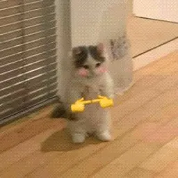 Cat for achievement mouse cursor