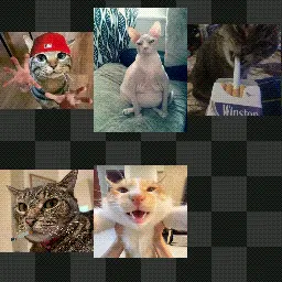 kitty pack 1 mouse cursor